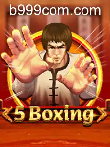 5Boxing